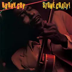 Buddy Guy Stone Crazy! (LP)