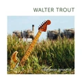 Walter Trout Common Ground - LTD (2LP)