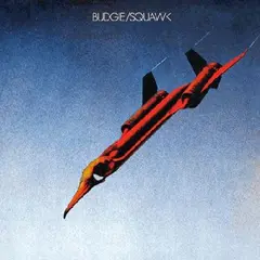 Budgie Squawk (LP)