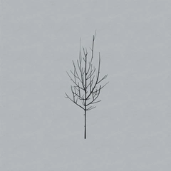 Low Ones And Sixes (2LP)