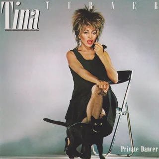 Tina Turner Private Dancer (LP)