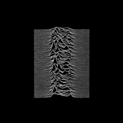 Joy Division Unknown Pleasures (LP)