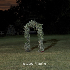 S. Araw "Trio" XI Gazebo Effect (2LP)