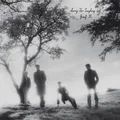 Josef K Sorry For Laughing (LP+CD)