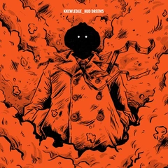 Knxwledge Hud Dreems (2LP)
