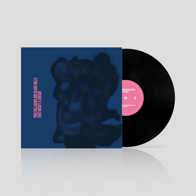 Pino Palladino And Blake Mills That Wasn't A Dream (LP) 