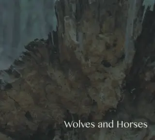 Wolves and Horses Wolves and Horses (7'') 