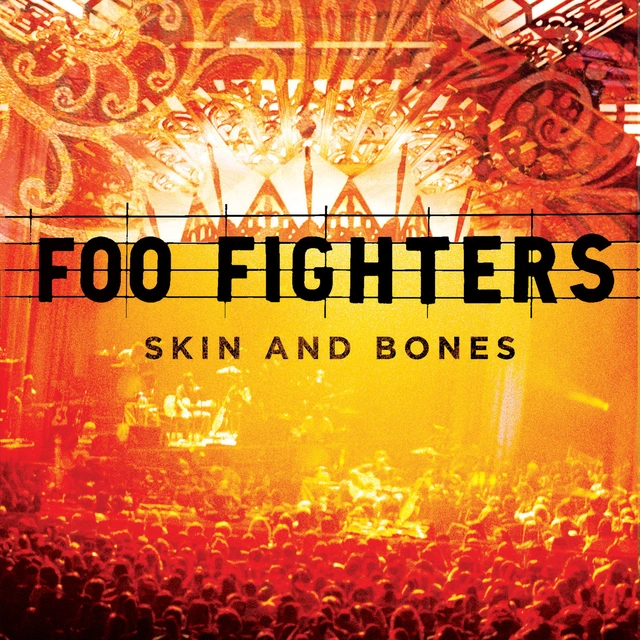 Foo Fighters Skin And Bones (2LP) 