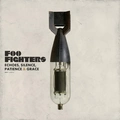 Foo Fighters Echoes, Silence, Patience &amp; Grace (LP)