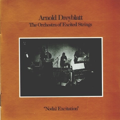 Arnold Dreyblatt Nodal Excitation (LP)