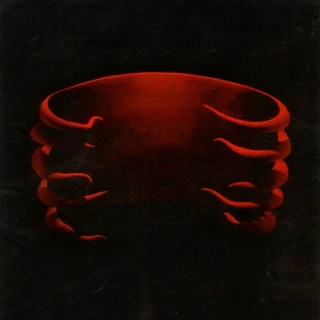 Tool Undertow (LP)
