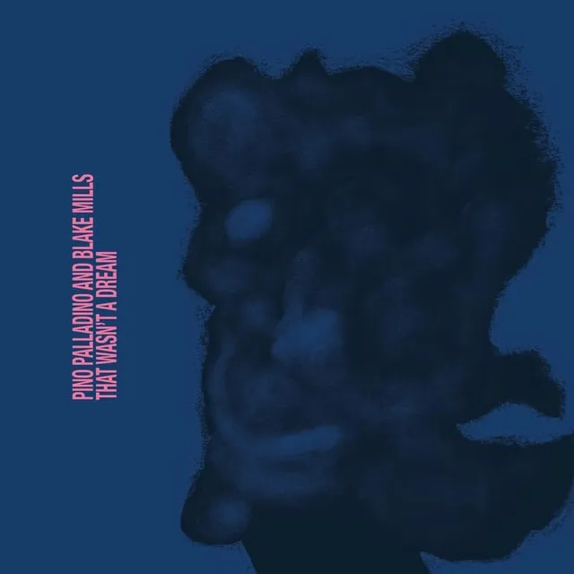 Pino Palladino And Blake Mills That Wasn't A Dream (LP) 