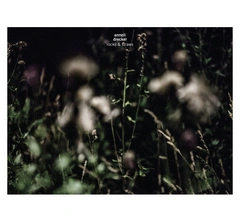 Anneli Drecker Rocks &amp; Straws (LP)