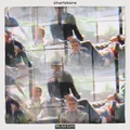 The Charlatans We Are Love - LTD (LP)