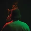 Jim O'Rourke Simple Songs (LP)