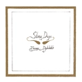 Thomas Dybdahl Stray Dogs (LP)