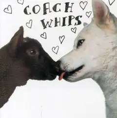 Coachwhips Bangers Vs. Fuckers (LP)