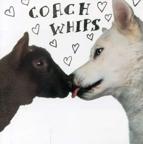 Coachwhips Bangers Vs. Fuckers (LP) 