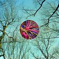 They Might Be Giants Glean (LP)