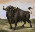 San Fermin San Fermin (LP)