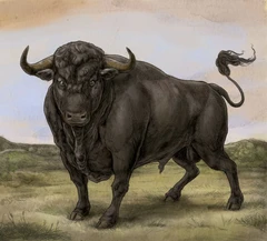 San Fermin San Fermin (LP)