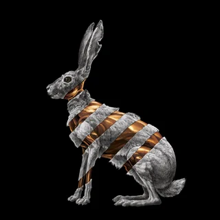 San Fermin Jackrabbit (LP)