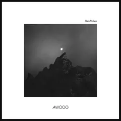 Ruen Brothers Awooo - LTD (LP)