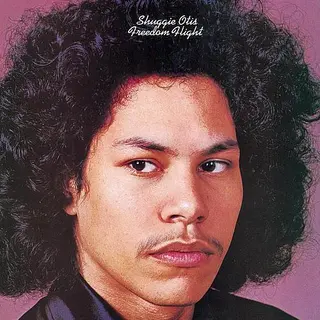 Shuggie Otis Freedom Flight (LP)