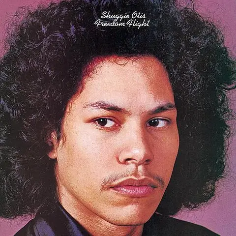 Shuggie Otis Freedom Flight (LP) 