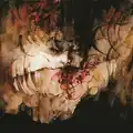 Shining (SE) IX - Everyone, Everything, Every...(2LP)