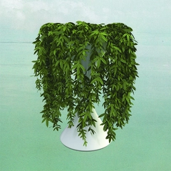 Errors Lease of Life (2LP)