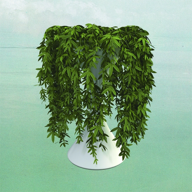 Errors Lease of Life (2LP) 