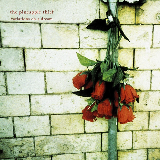 The Pineapple Thief Variations On A Dream (2LP) 