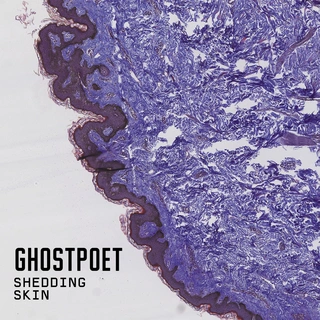 Ghostpoet Shedding Skin (LP)