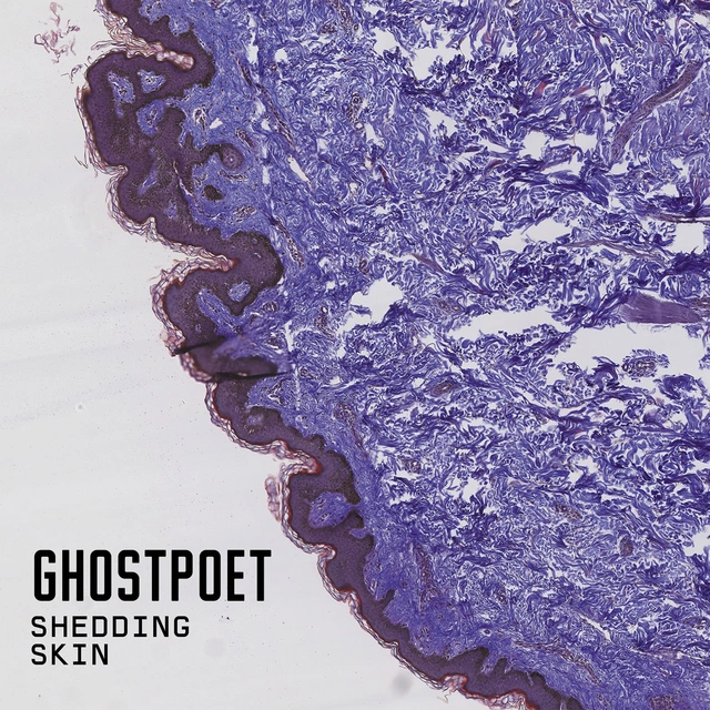 Ghostpoet Shedding Skin (LP) 