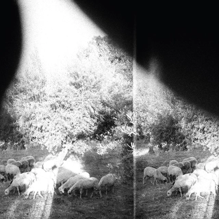 Godspeed You! Black Emperor Asunder, Sweet And Other Distress (LP)
