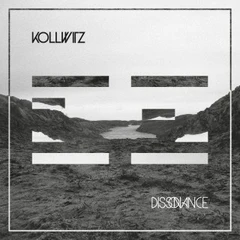 Kollwitz Dissonance (LP)