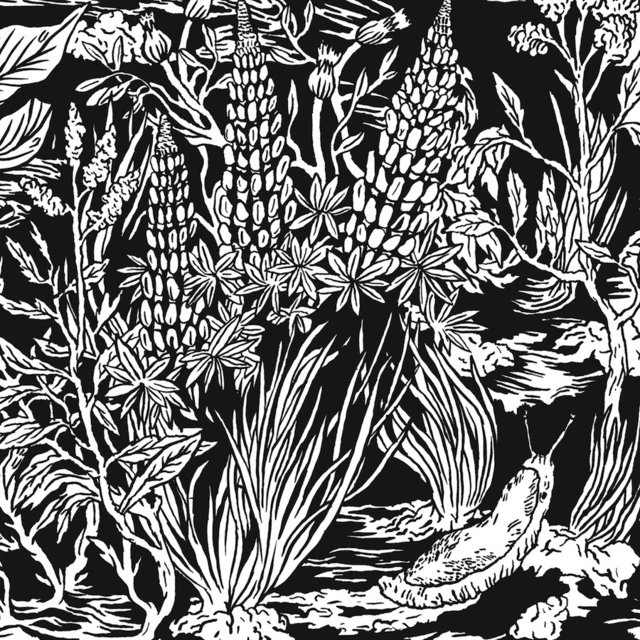 Eternal Tapestry Wild Strawberries (2LP) 