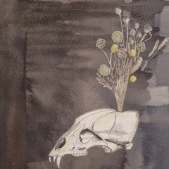 Steve Gunn &amp; The Black Twig Pickers Seasonal Hire - LTD (LP)