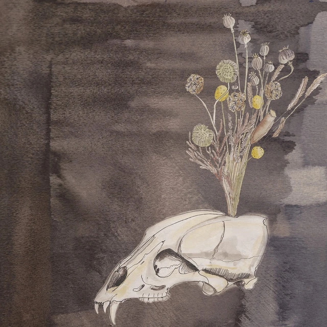 Steve Gunn & The Black Twig Pickers Seasonal Hire - LTD (LP) 