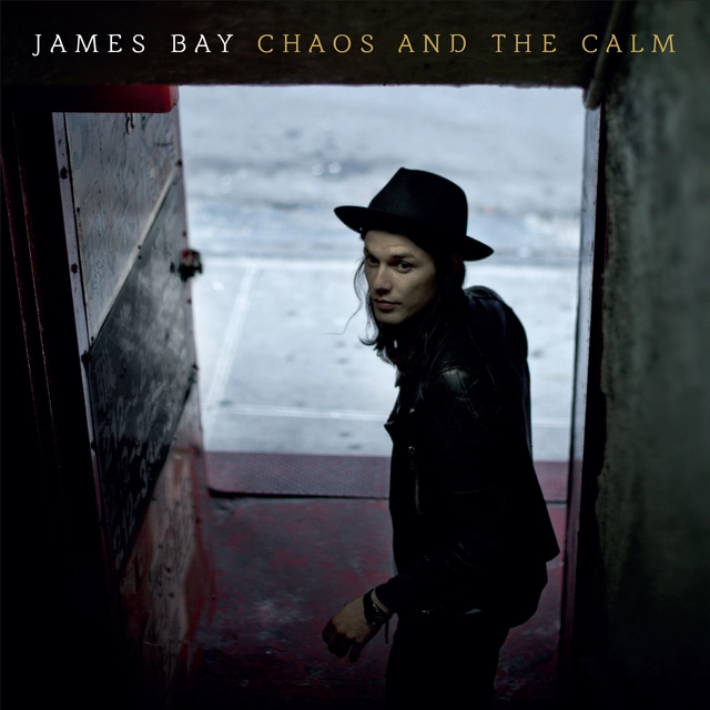 James Bay Chaos and the Calm (LP) 