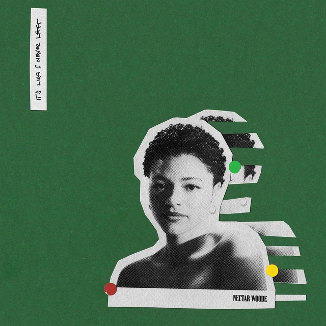Nectar Woode It's LIke I Never Left (LP) 