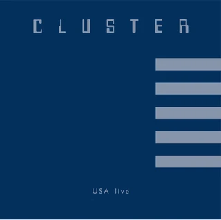 Cluster USA Live (LP)