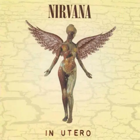 Nirvana In Utero (LP) 