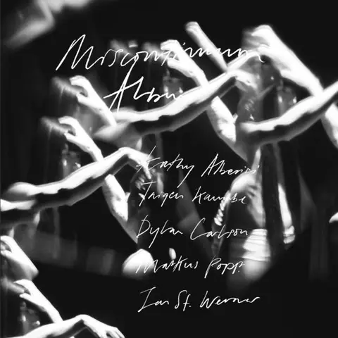 Jan St. Werner Miscontinuum Album (2LP) 