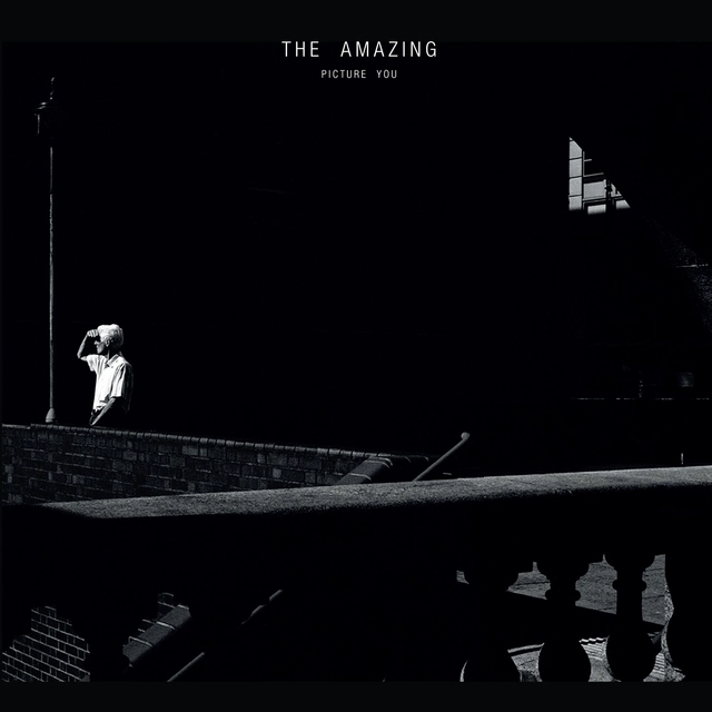 Amazing Picture You (2LP) 