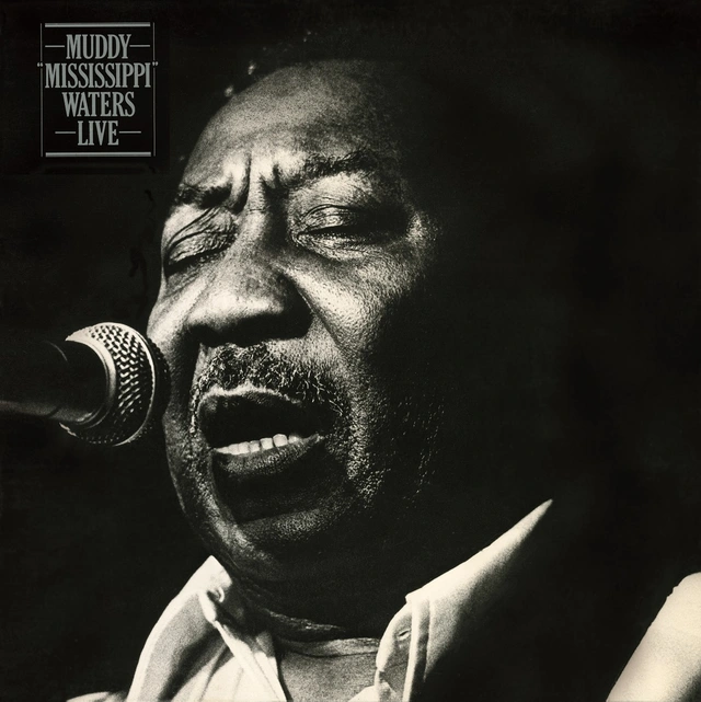 Muddy Waters Live (LP) 