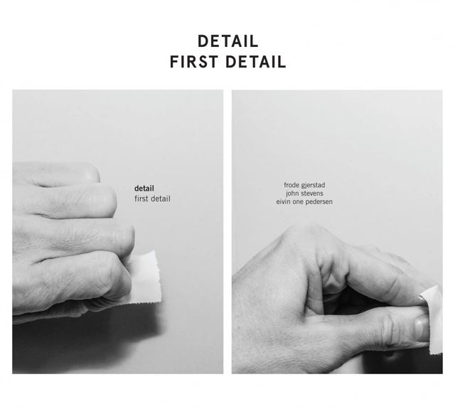 Detail First Detail (LP) 