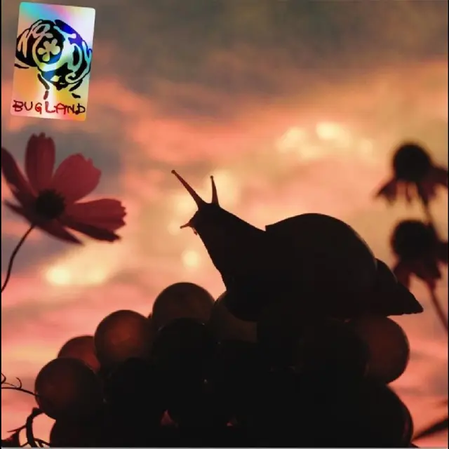 No Joy Bugland - LTD (LP) 
