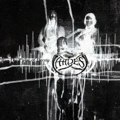 Hades Almighty The Pulse of Decay (LP)
